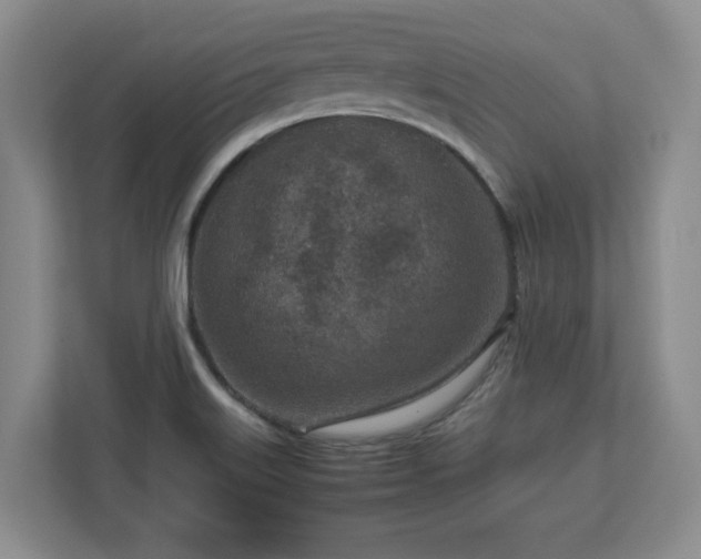 X0000112731515200908271418