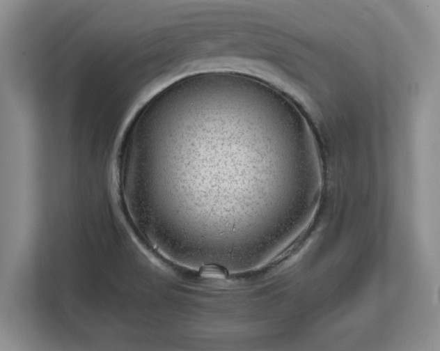 X0000112731517200908271418