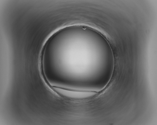 X0000112731518200908271418