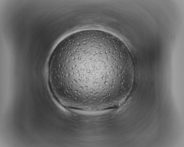 X0000112731519200908271418