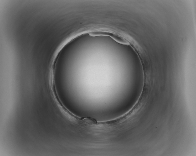 X0000112731520200908271418