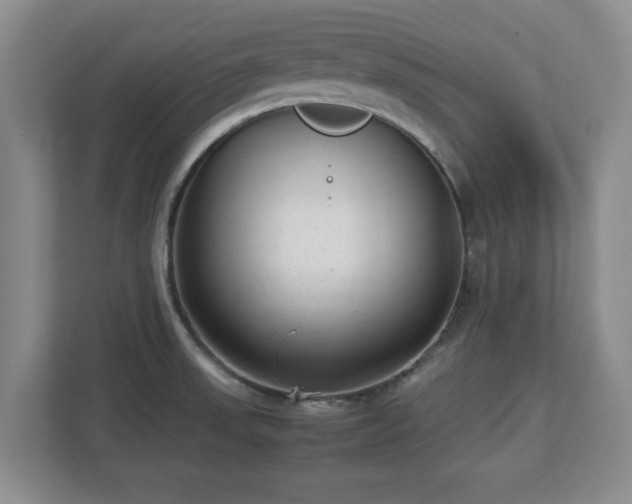 X0000112731523200908271418