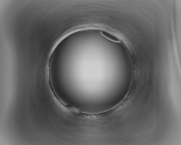 X0000112731524200908271418