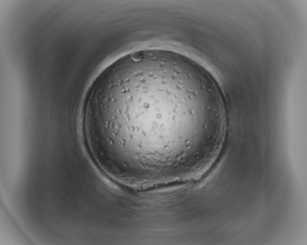 X0000112731525200908271418