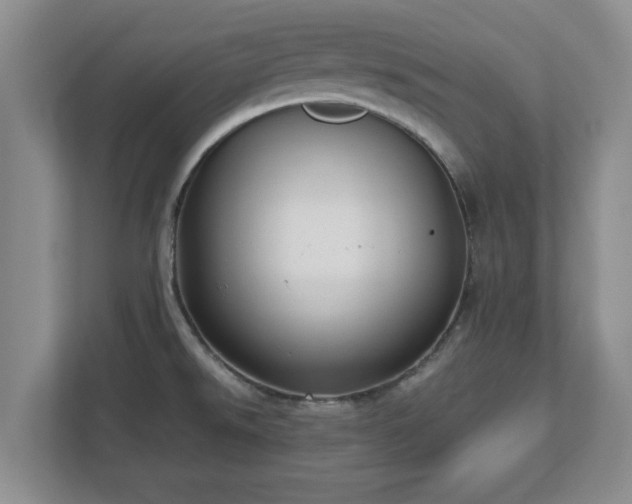 X0000112731526200908271418