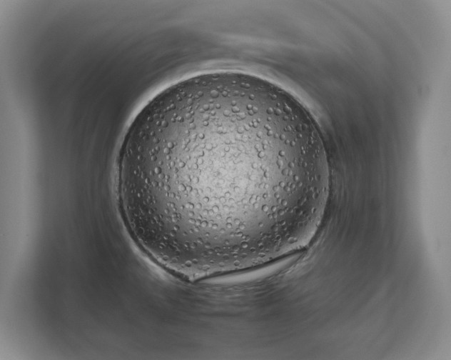 X0000112731527200908271418