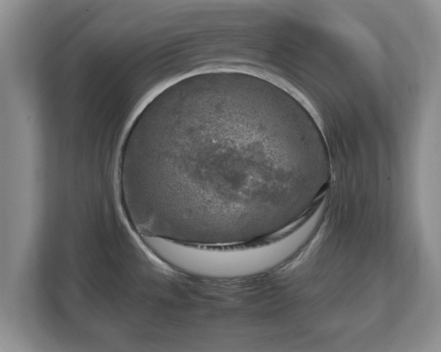 X0000112731533200908271418