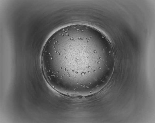 X0000112731535200908271418