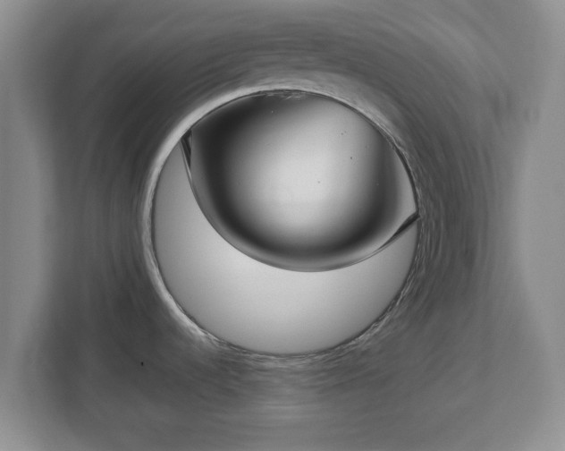 X0000112731536200908271418