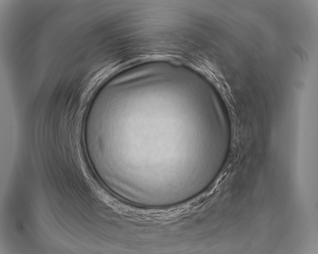 X0000112730001200909031454