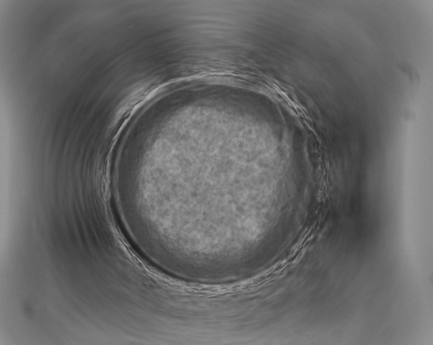 X0000112730002200909031454