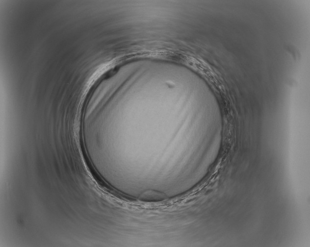 X0000112730003200909031454