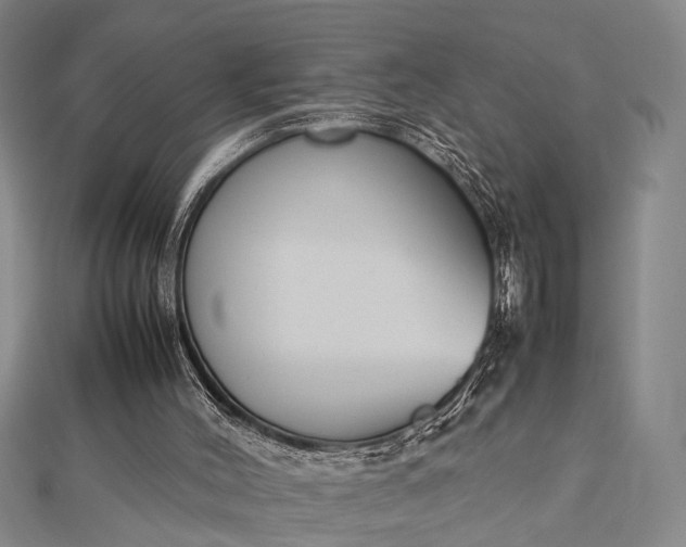 X0000112730004200909031454