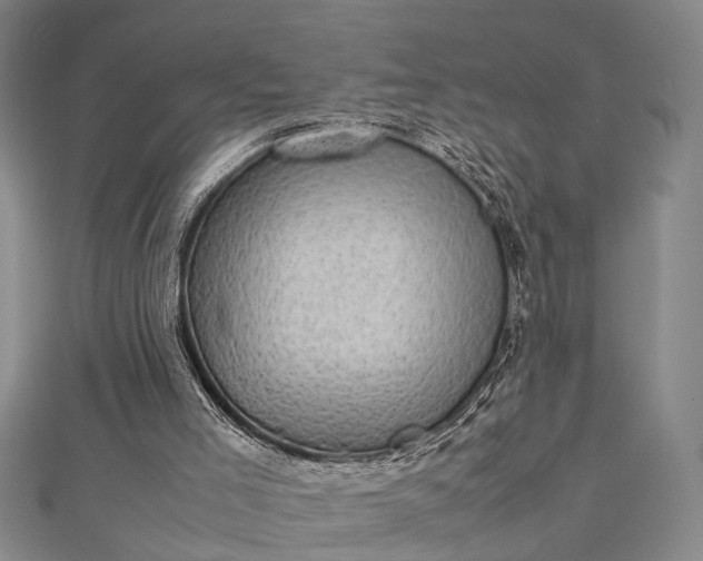 X0000112730005200909031454