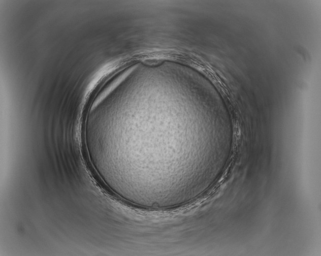 X0000112730006200909031454