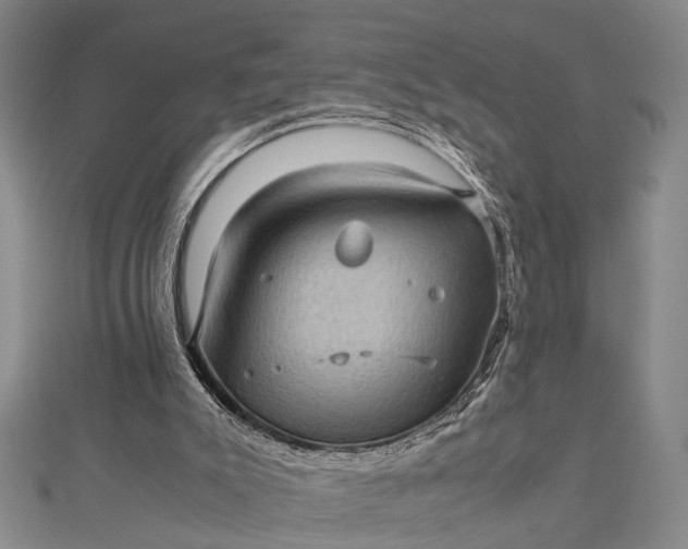 X0000112730007200909031454