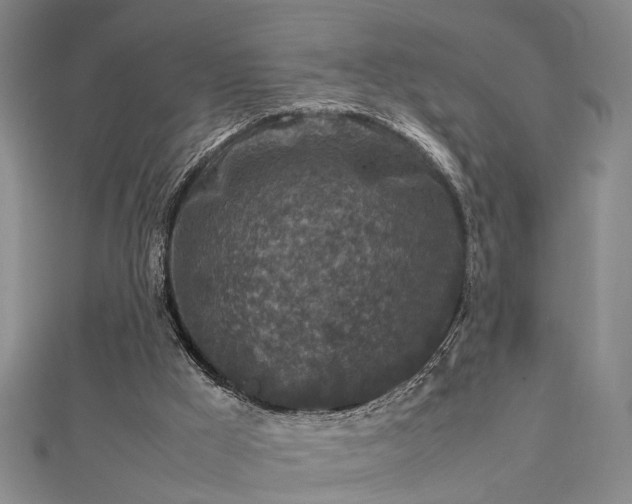 X0000112730009200909031454