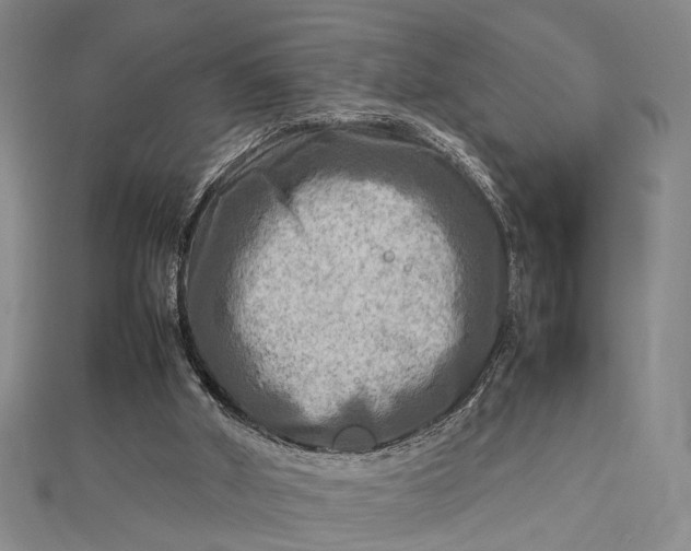 X0000112730010200909031454