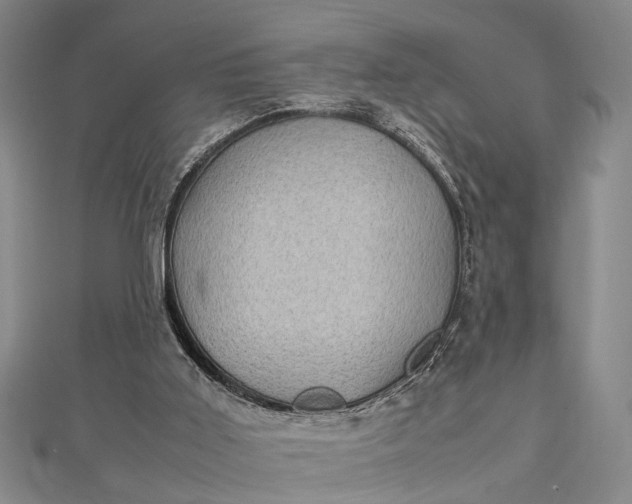 X0000112730011200909031454