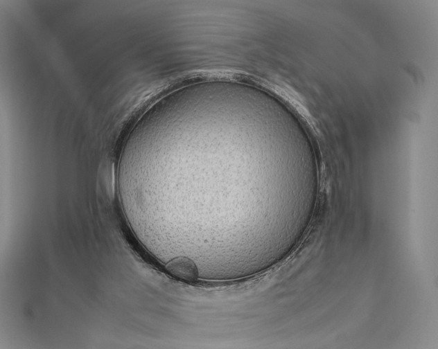 X0000112730013200909031454