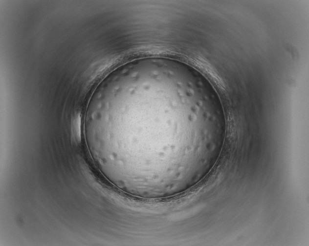 X0000112730014200909031454