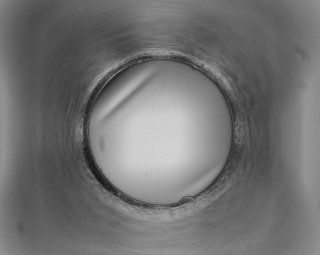 X0000112730015200909031454