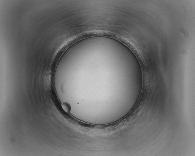 X0000112730016200909031454