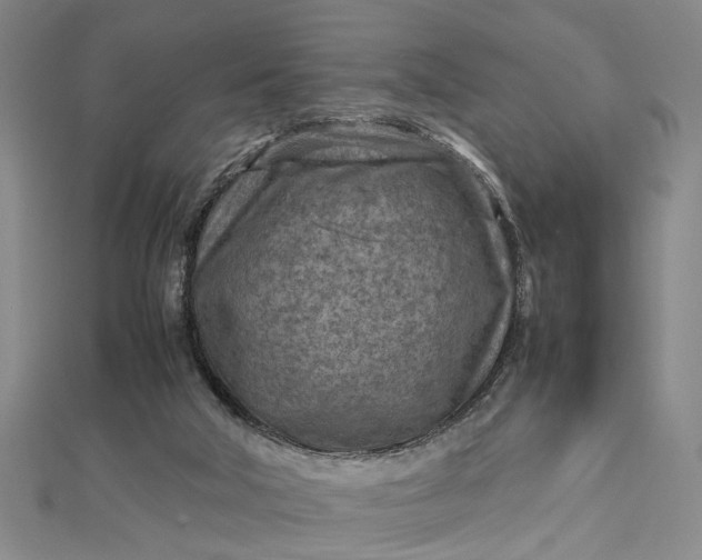 X0000112730018200909031454