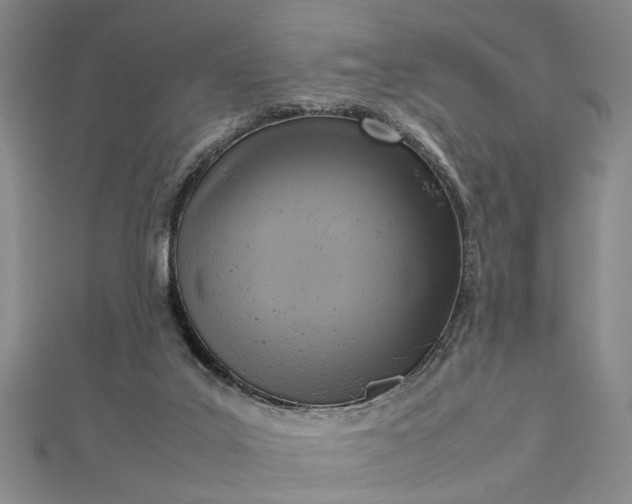 X0000112730019200909031454