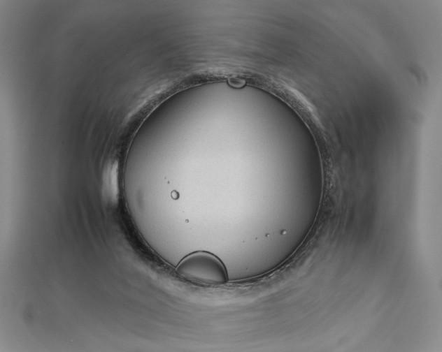 X0000112730020200909031454