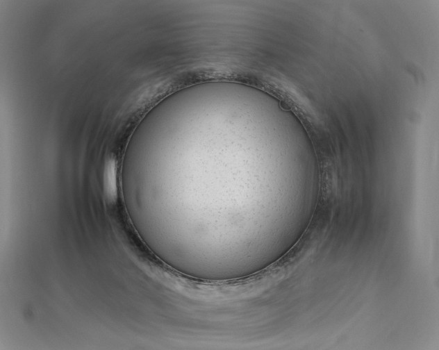 X0000112730022200909031454