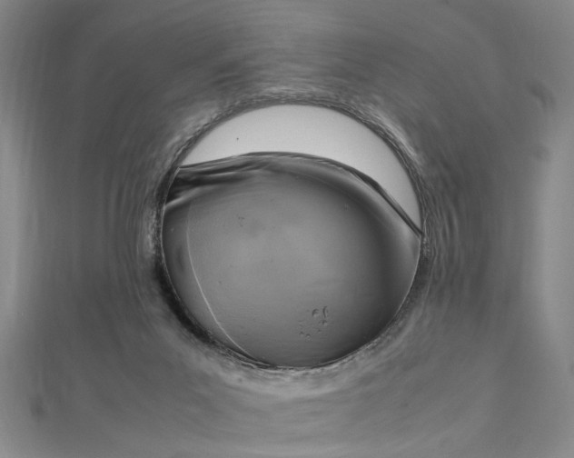 X0000112730023200909031454