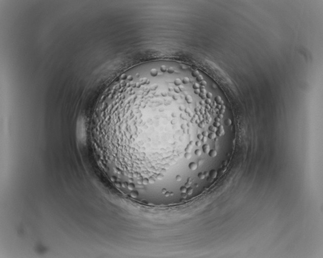 X0000112730026200909031454