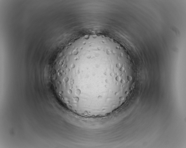 X0000112730030200909031454