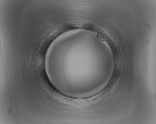 X0000112730031200909031454