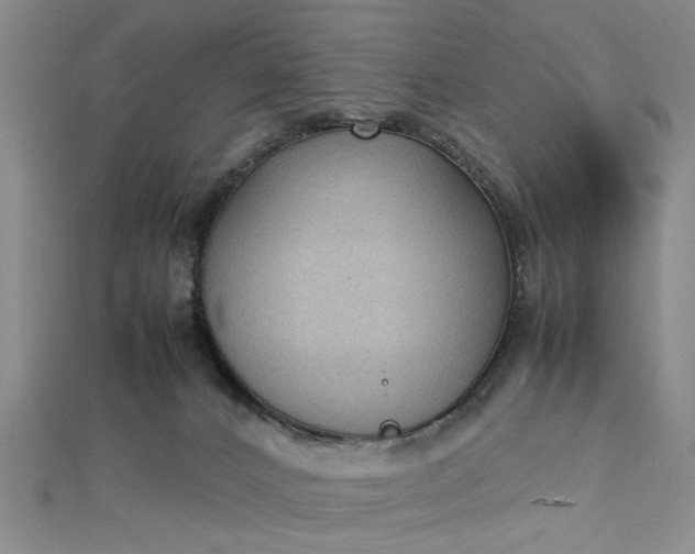 X0000112730032200909031454