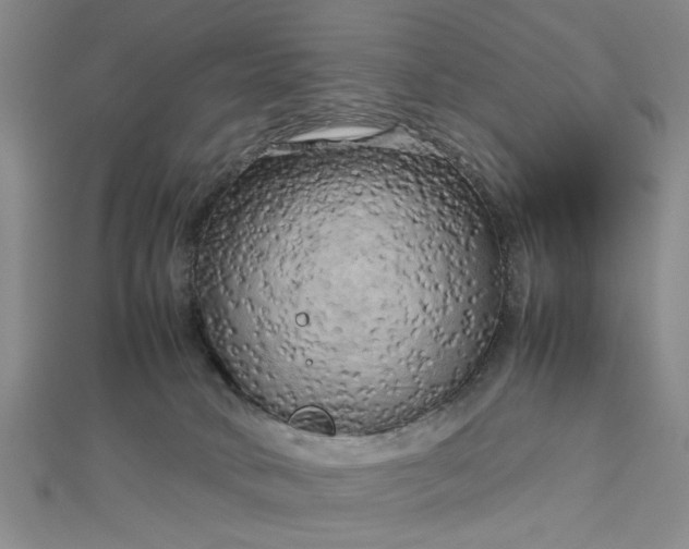 X0000112730034200909031454