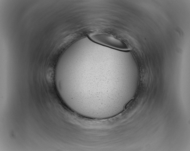 X0000112730036200909031454