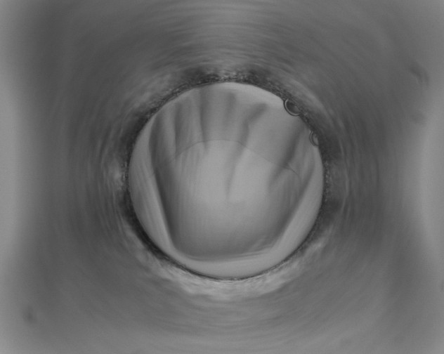 X0000112730039200909031454