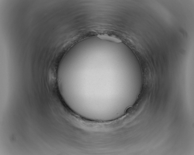 X0000112730040200909031454