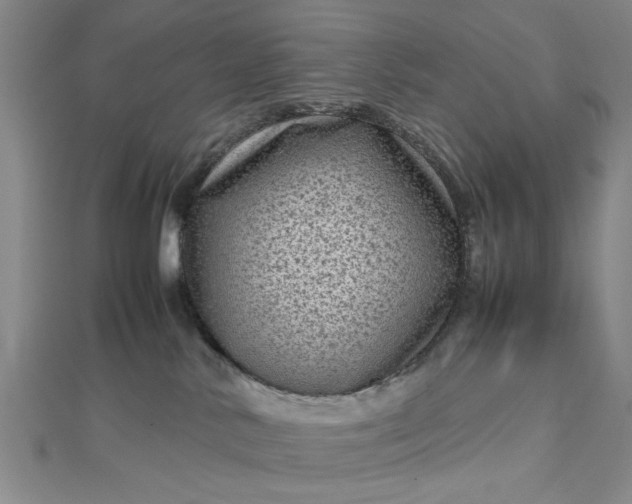 X0000112730042200909031454