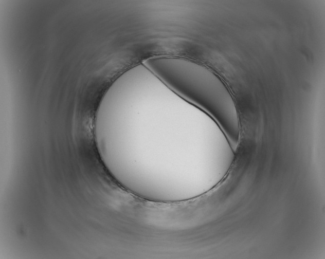 X0000112730045200909031454