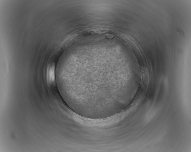 X0000112730046200909031454