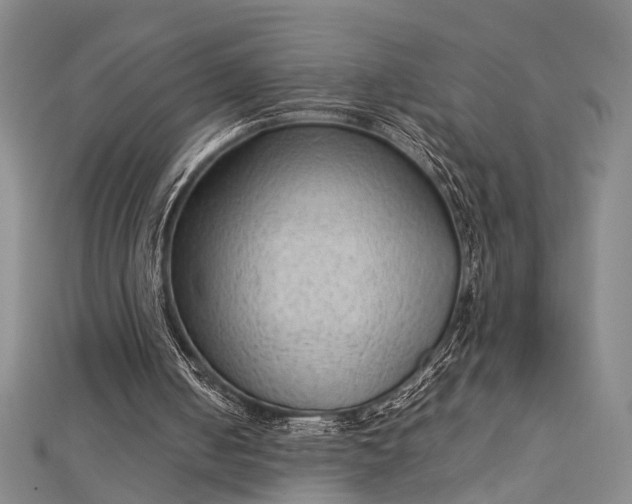 X0000112730050200909031453