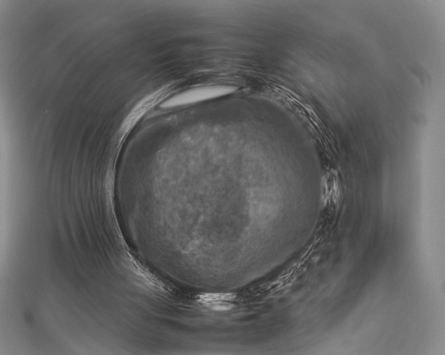 X0000112730051200909031453