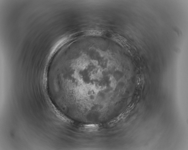 X0000112730053200909031453