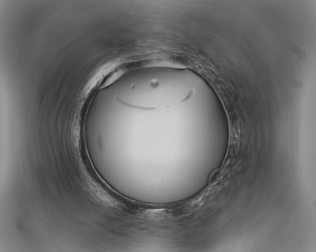 X0000112730054200909031453