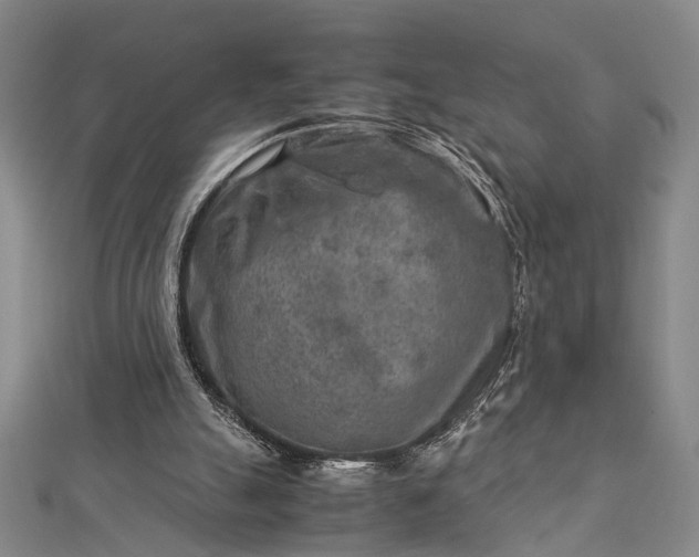 X0000112730055200909031453