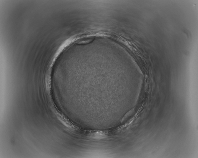 X0000112730056200909031453