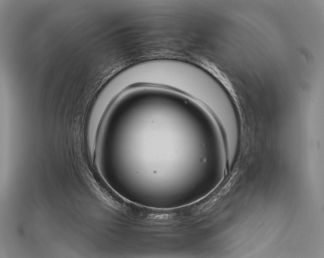 X0000112730057200909031453